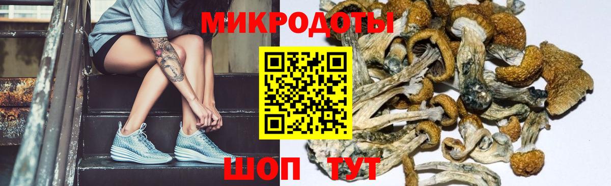 Псилоцибиновые грибы Magic Shrooms  Вход с VPN  Пыть-Ях 